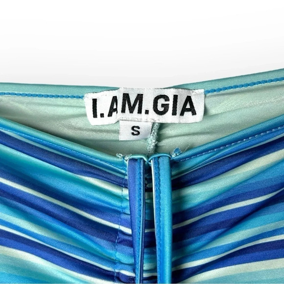 I.AM.GIA Blue Stripe Halo  Pants S - Picture 4 of 9